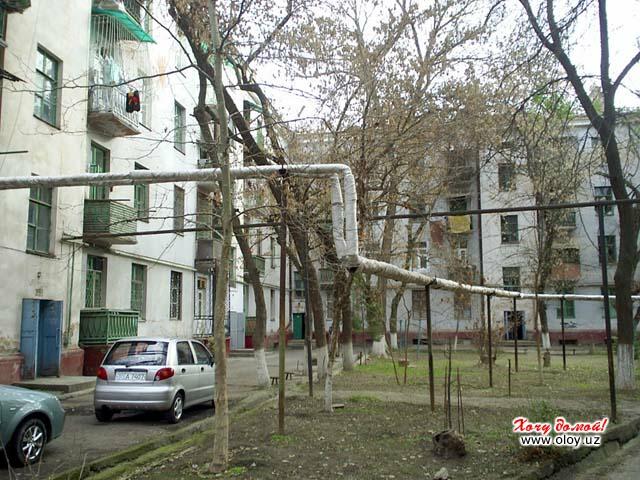 Ул.Новомосковская, дом №23. Вид со двора